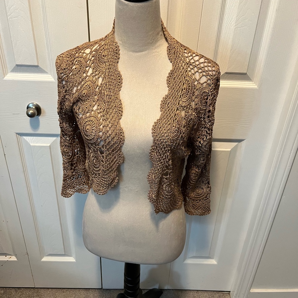 Joseph A size L Elegant Brown Crochet Women's Sweater